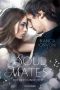 [Soul Mates 02] • Ruf der Dunkelheit